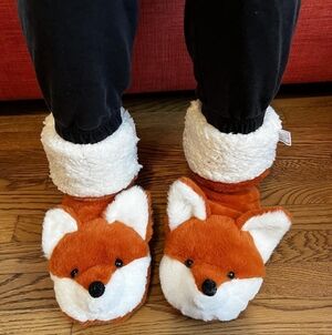 Oooh Yeah Fox Sakes Cozy Slippers